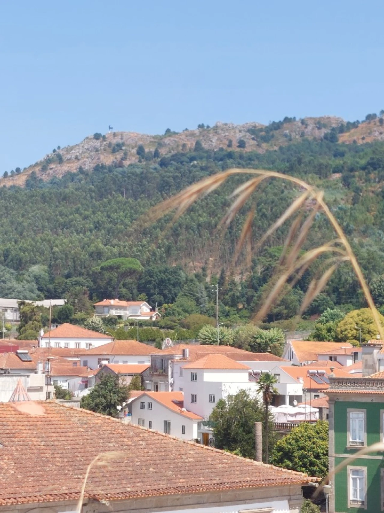 Terreno para Venda em Vila Nova de Cerveira e Lovelhe Foto 1