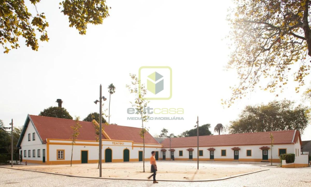 Terreno para Venda em Ílhavo (São Salvador) Foto 13