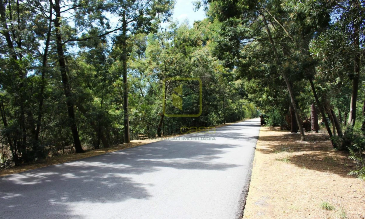 Terreno para Venda em Ílhavo (São Salvador) Foto 10