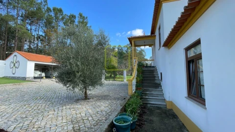 Quinta T7 para Venda em Valega