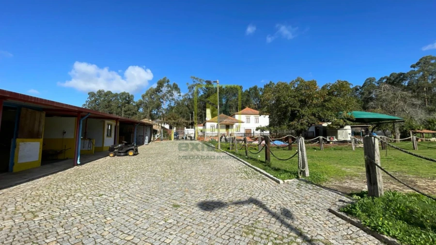 Quinta T7 para Venda em Valega Foto 22