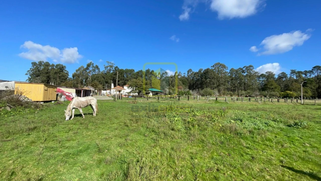 Quinta T7 para Venda em Valega Foto 28