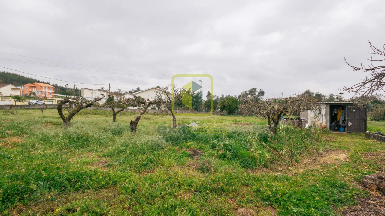 Terreno para Venda em Granja do Ulmeiro Foto 8