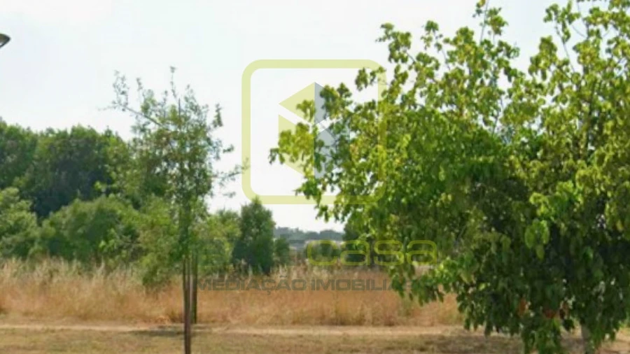 Terreno para Venda em Ílhavo (São Salvador)
