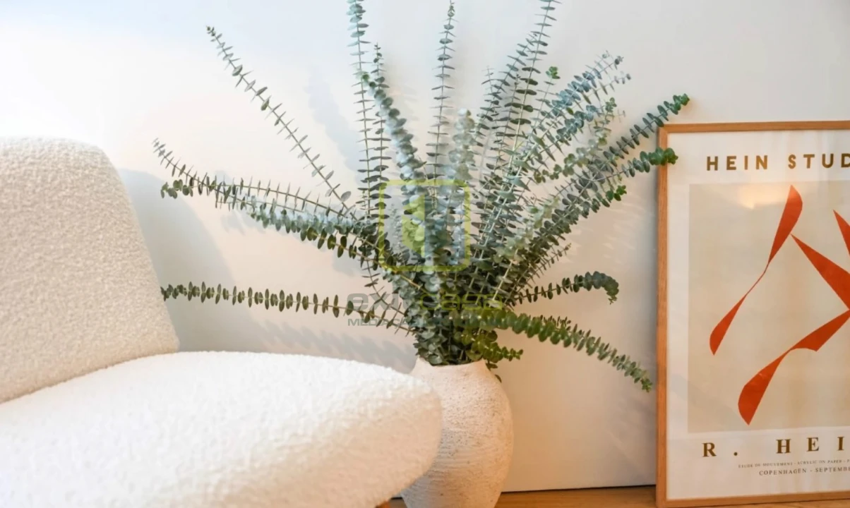 Apartamento T3 para Venda em Glória e Vera Cruz Foto 5