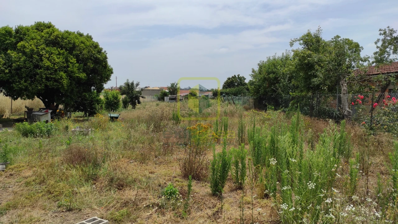 Terreno para Venda em Eixo e Eirol Foto 1