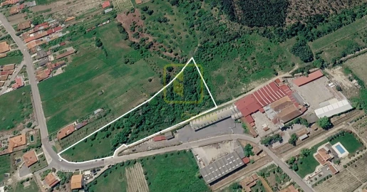 Terreno para Venda em Cantanhede e Pocariça