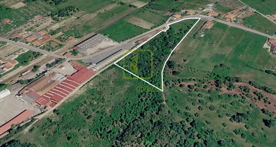 Terreno para Venda em Cantanhede e Pocariça Foto 6
