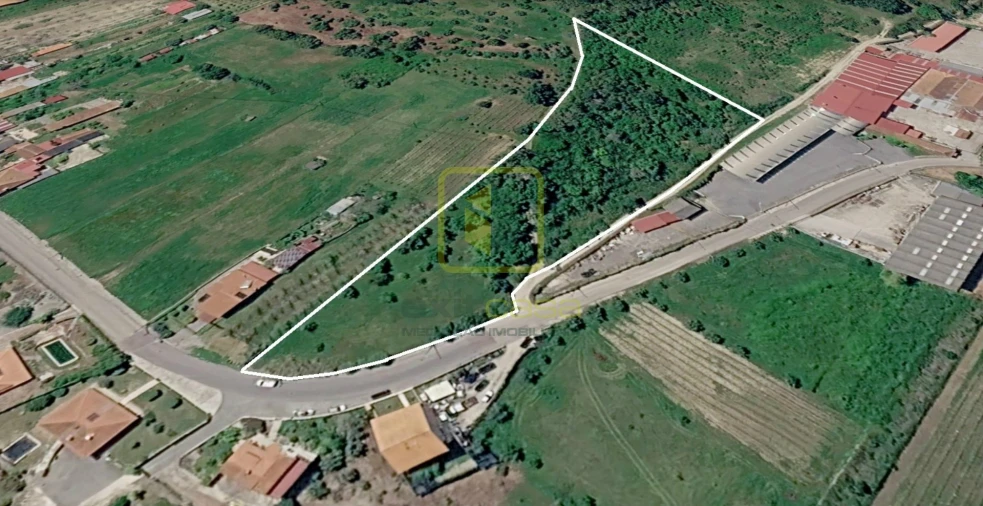 Terreno para Venda em Cantanhede e Pocariça Foto 4