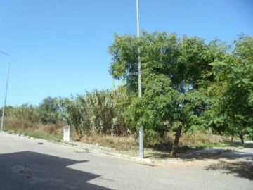 Terreno para Venda em Buarcos