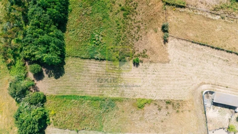 Terreno para Venda em Maiorca