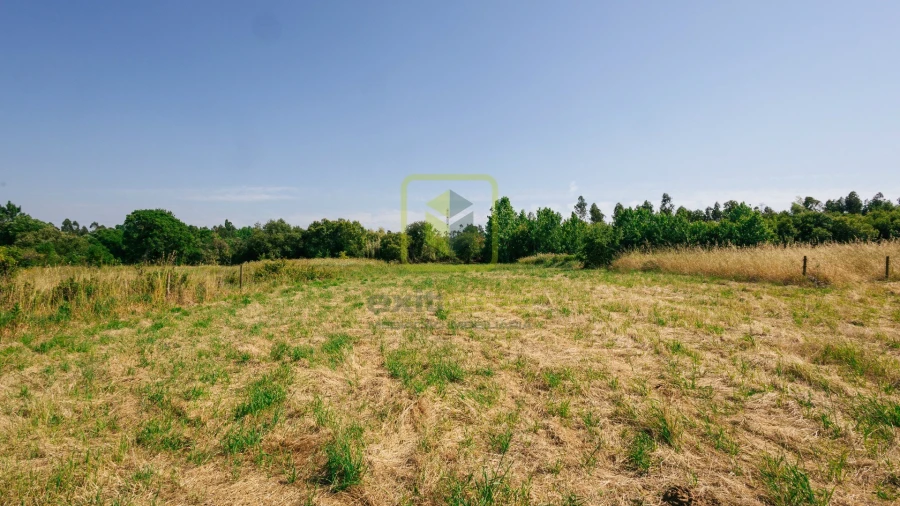 Terreno para Venda em Maiorca Foto 9