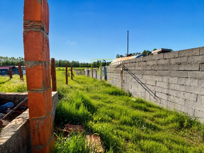 Moradia T3 para Venda em Ferreira-A-Nova Foto 3