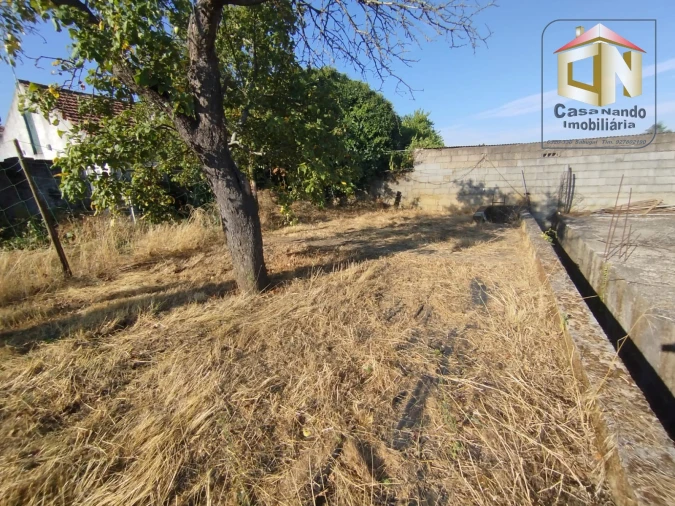 Armazém para Venda em Sabugal e Aldeia de Santo António Foto 5