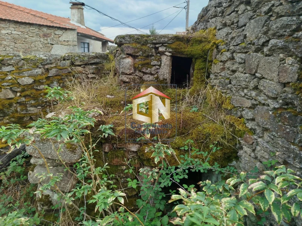 Moradia T5 para Venda em Lajeosa e Forcalhos Foto 38