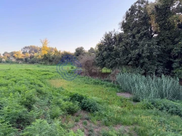 Terreno para Venda em Pedroso e Seixezelo