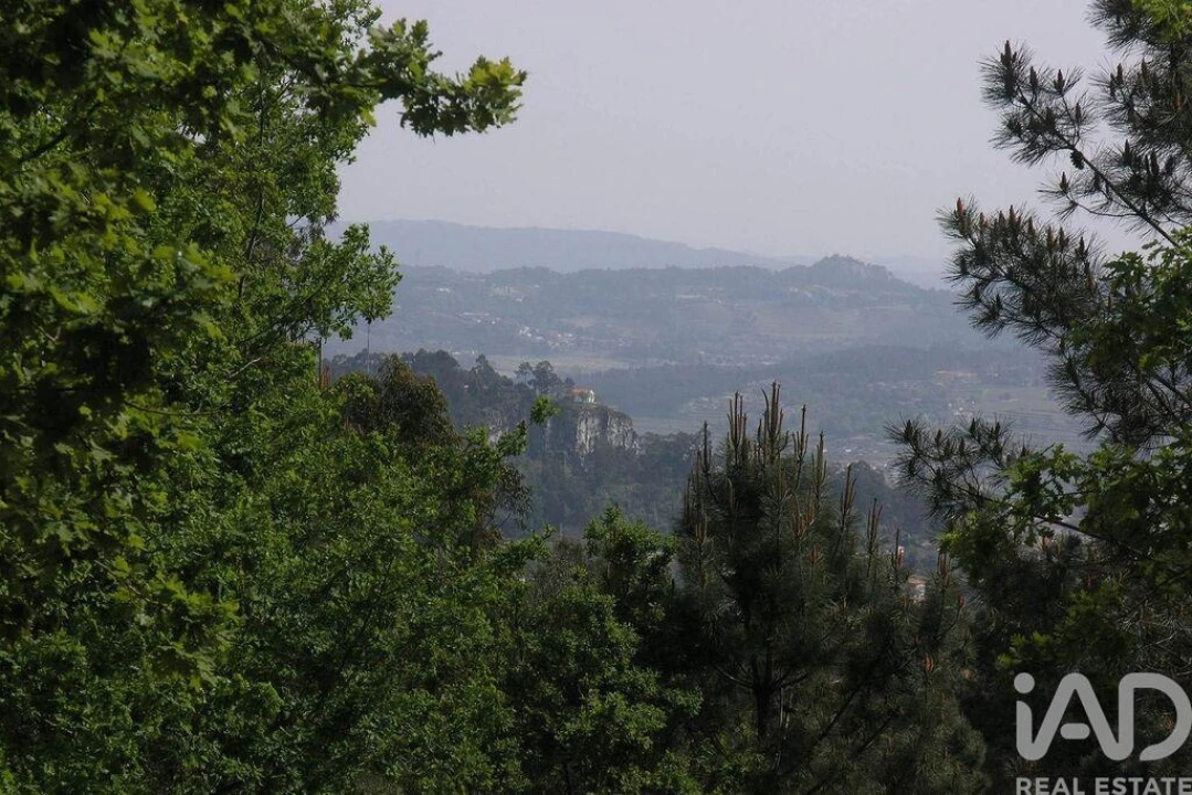 Moradia para Venda em Bouro (Santa Maria) Foto 39