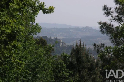 Moradia para Venda em Bouro (Santa Maria)