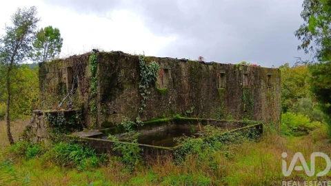 Moradia para Venda em Bouro (Santa Maria)