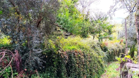 Moradia para Venda em Bouro (Santa Maria)