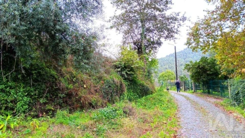 Moradia para Venda em Bouro (Santa Maria)