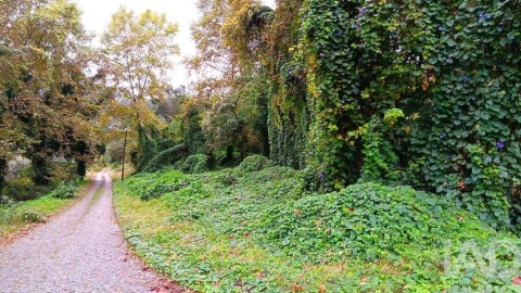 Moradia para Venda em Bouro (Santa Maria)