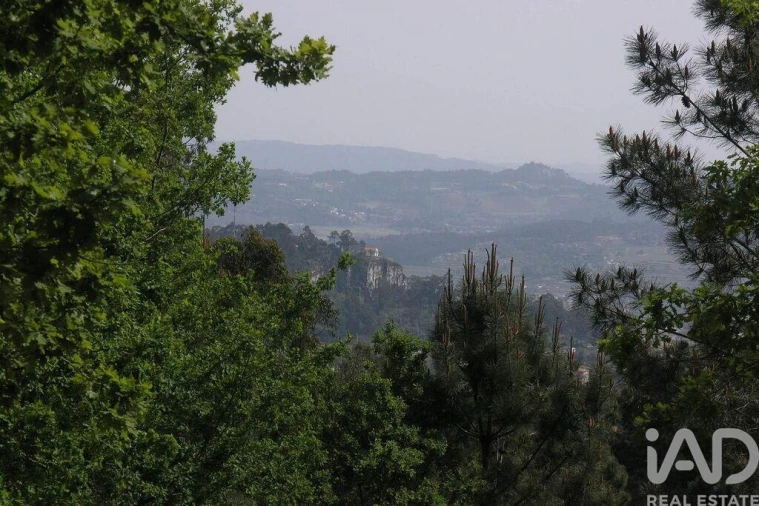 Moradia para Venda em Bouro (Santa Maria) Foto 39