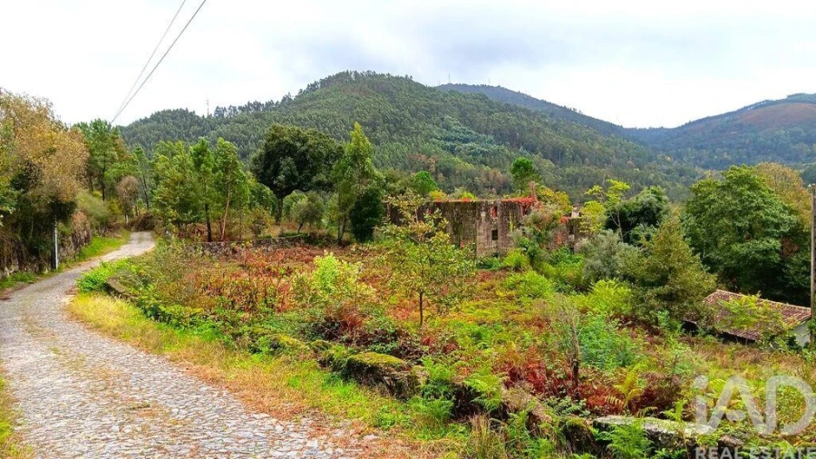 Moradia para Venda em Bouro (Santa Maria) Foto 16