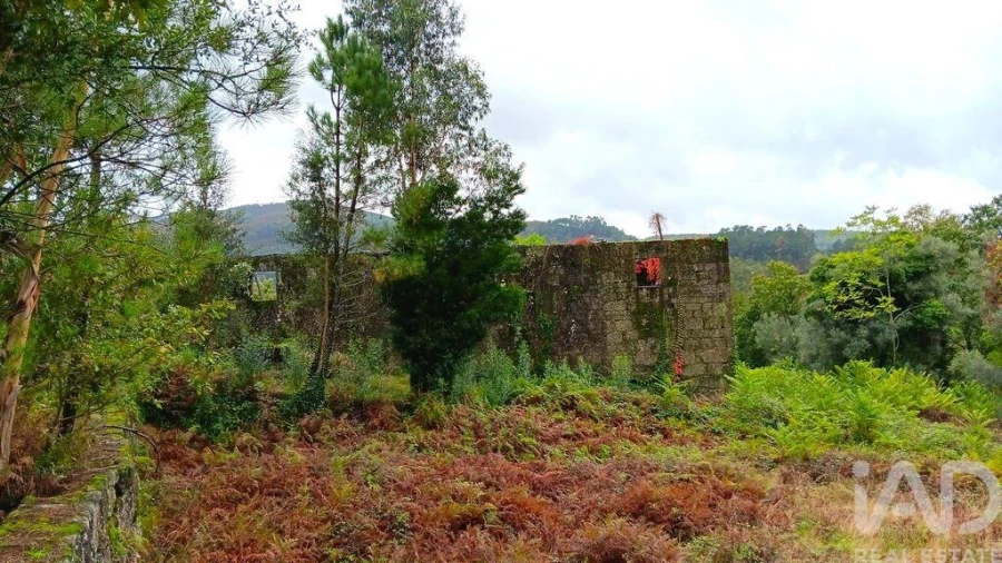 Moradia para Venda em Bouro (Santa Maria) Foto 15