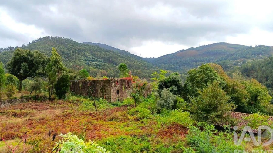 Moradia para Venda em Bouro (Santa Maria)