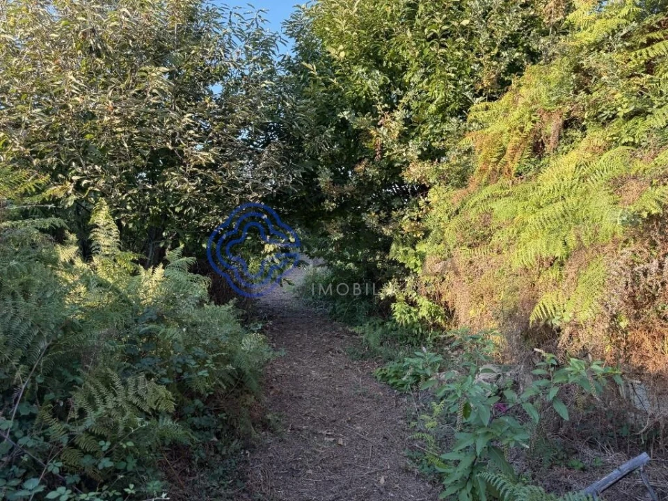 Terreno para Venda em Pedroso e Seixezelo Foto 4