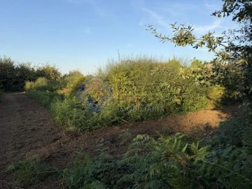 Terreno para Venda em Pedroso e Seixezelo