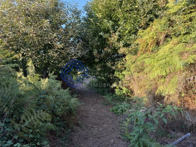Terreno para Venda em Pedroso e Seixezelo Foto 4