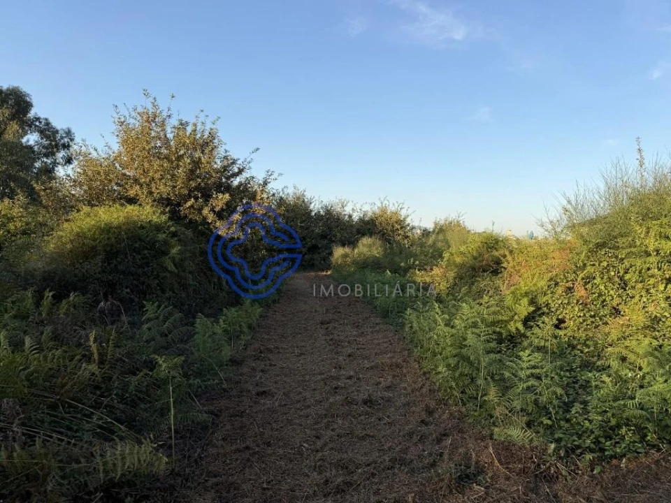 Terreno para Venda em Pedroso e Seixezelo Foto 5