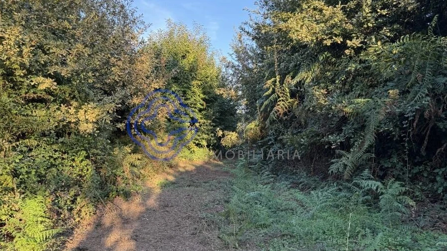 Terreno para Venda em Pedroso e Seixezelo