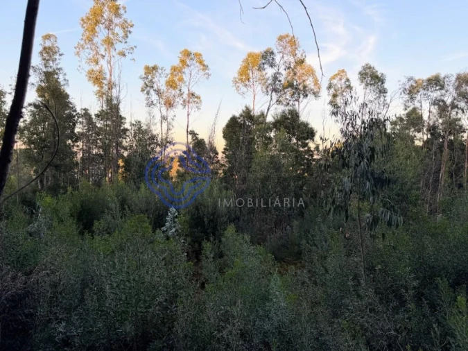 Terreno para Venda em Pedroso e Seixezelo Foto 2