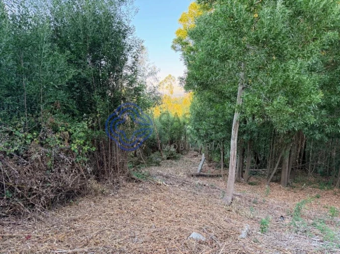 Terreno para Venda em Pedroso e Seixezelo Foto 3