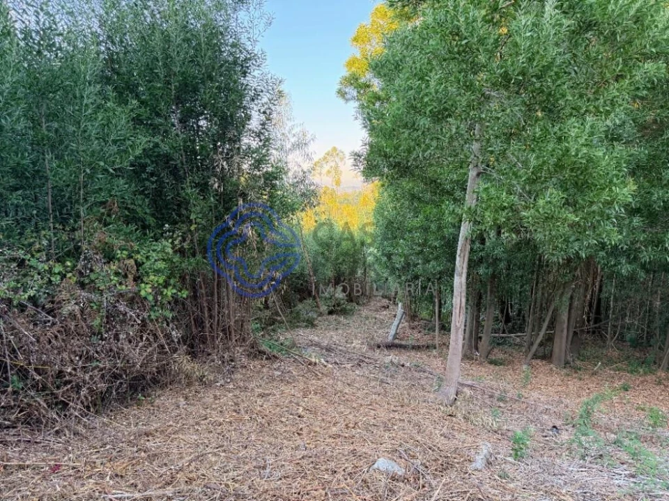 Terreno para Venda em Pedroso e Seixezelo Foto 3