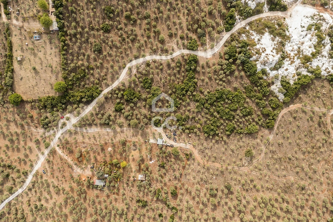 Terreno para Venda em Nossa Senhora da Conceição e São Bartolomeu Foto 14
