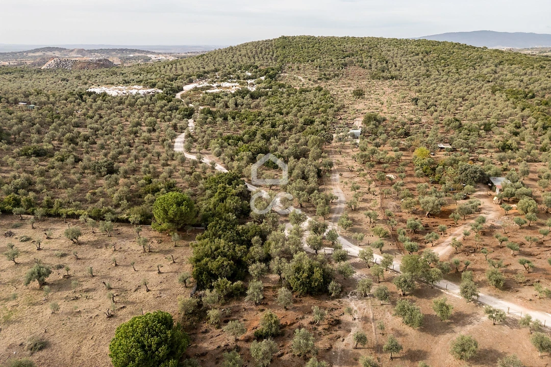Terreno para Venda em Nossa Senhora da Conceição e São Bartolomeu Foto 25