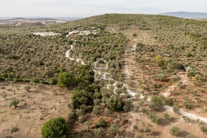 Terreno para Venda em Nossa Senhora da Conceição e São Bartolomeu