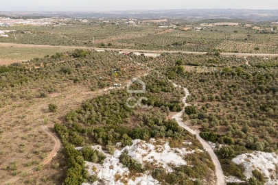 Terreno para Venda em Nossa Senhora da Conceição e São Bartolomeu