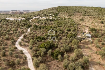 Terreno para Venda em Nossa Senhora da Conceição e São Bartolomeu
