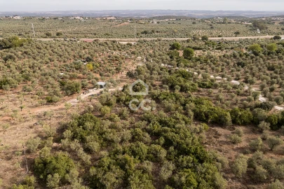 Terreno para Venda em Nossa Senhora da Conceição e São Bartolomeu