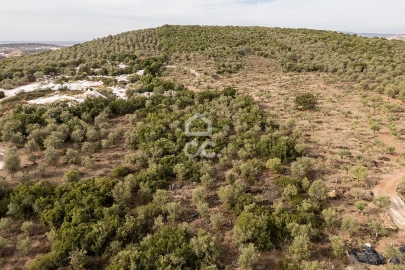 Terreno para Venda em Nossa Senhora da Conceição e São Bartolomeu