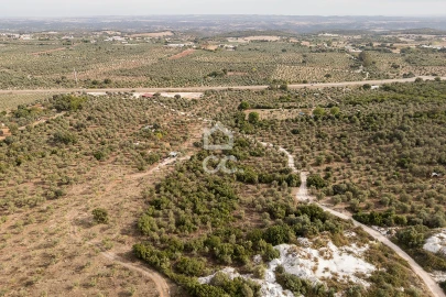 Terreno para Venda em Nossa Senhora da Conceição e São Bartolomeu