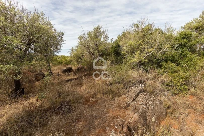 Terreno para Venda em Nossa Senhora da Conceição e São Bartolomeu