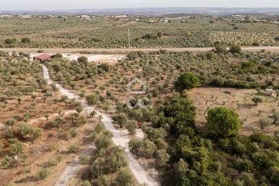 Terreno para Venda em Nossa Senhora da Conceição e São Bartolomeu