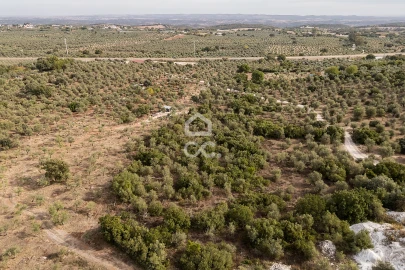 Terreno para Venda em Nossa Senhora da Conceição e São Bartolomeu
