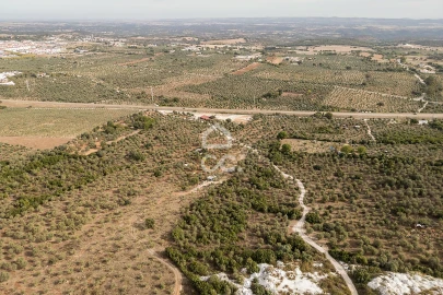 Terreno para Venda em Nossa Senhora da Conceição e São Bartolomeu